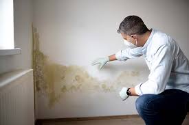 Why You Should Choose Our Mold Remediation Services in Seabrook Island, SC